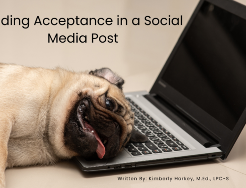 Finding Acceptance in a Social Media Post
